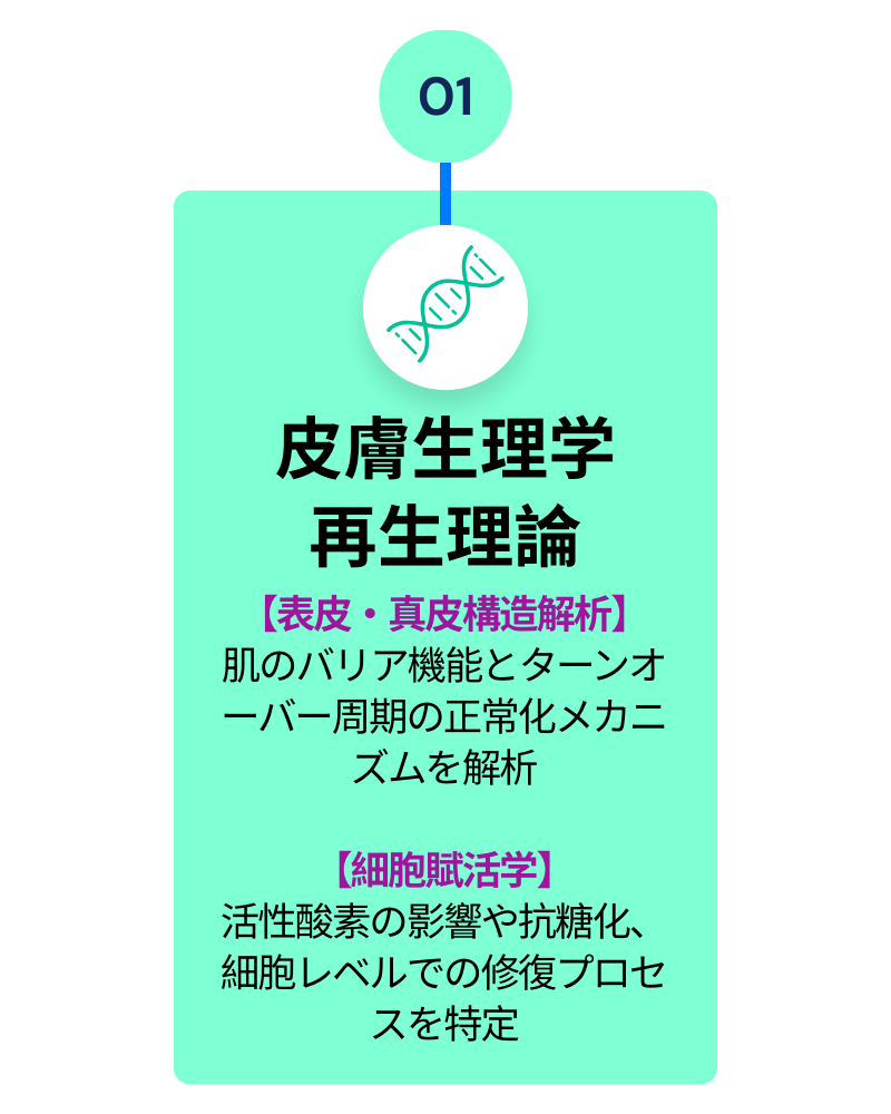 01 皮膚生理学×再生理論